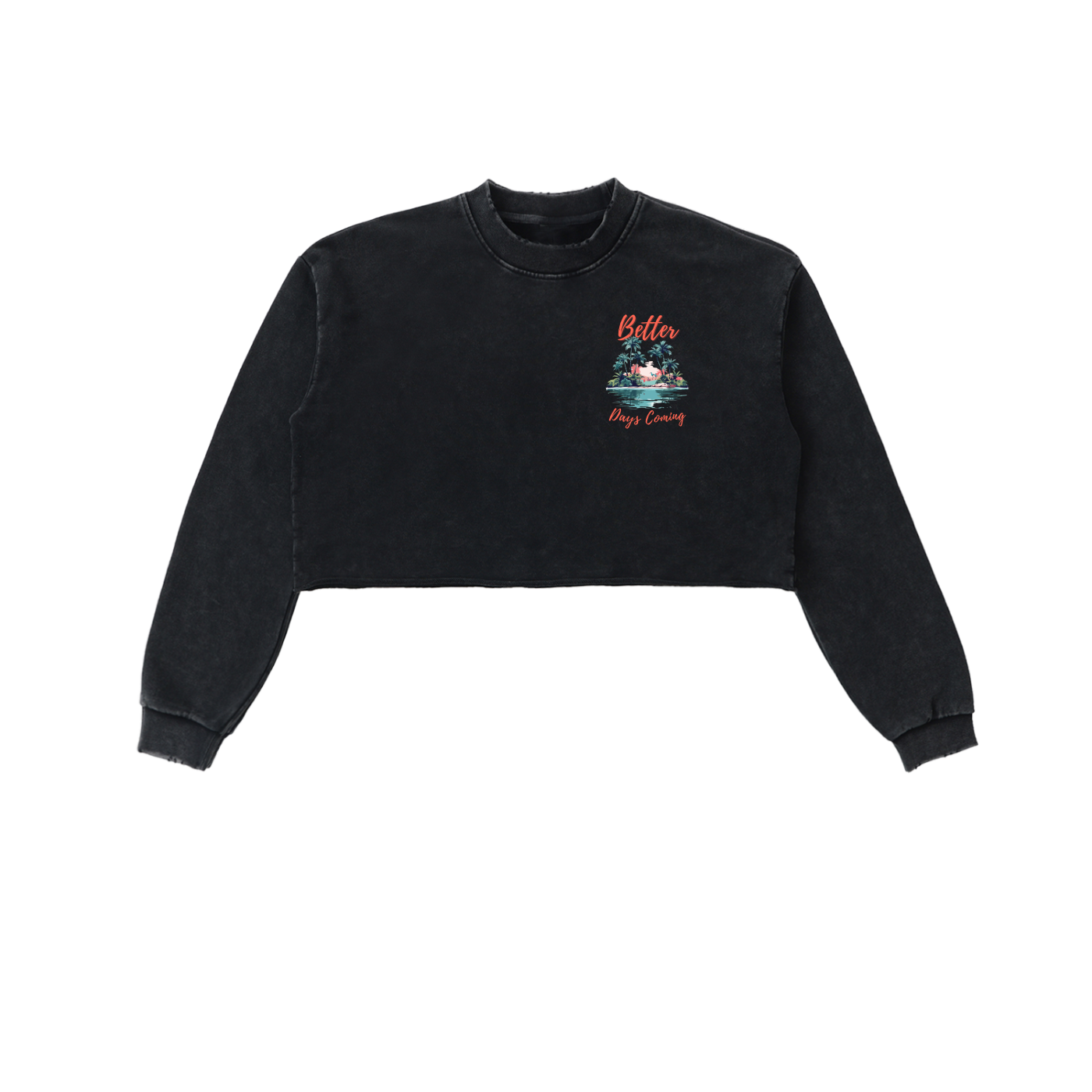 Women's Snow Washed Cropped Sweatshirt