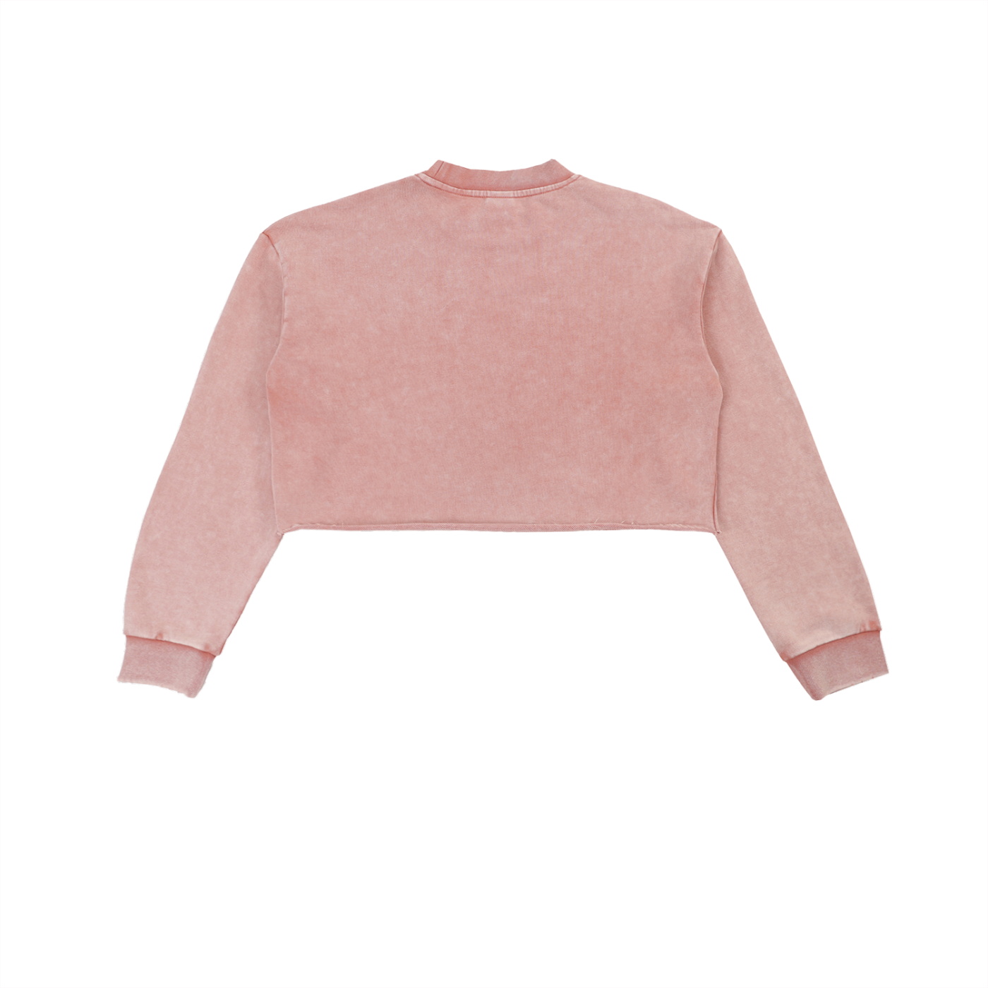 Women's Snow Washed Cropped Sweatshirt