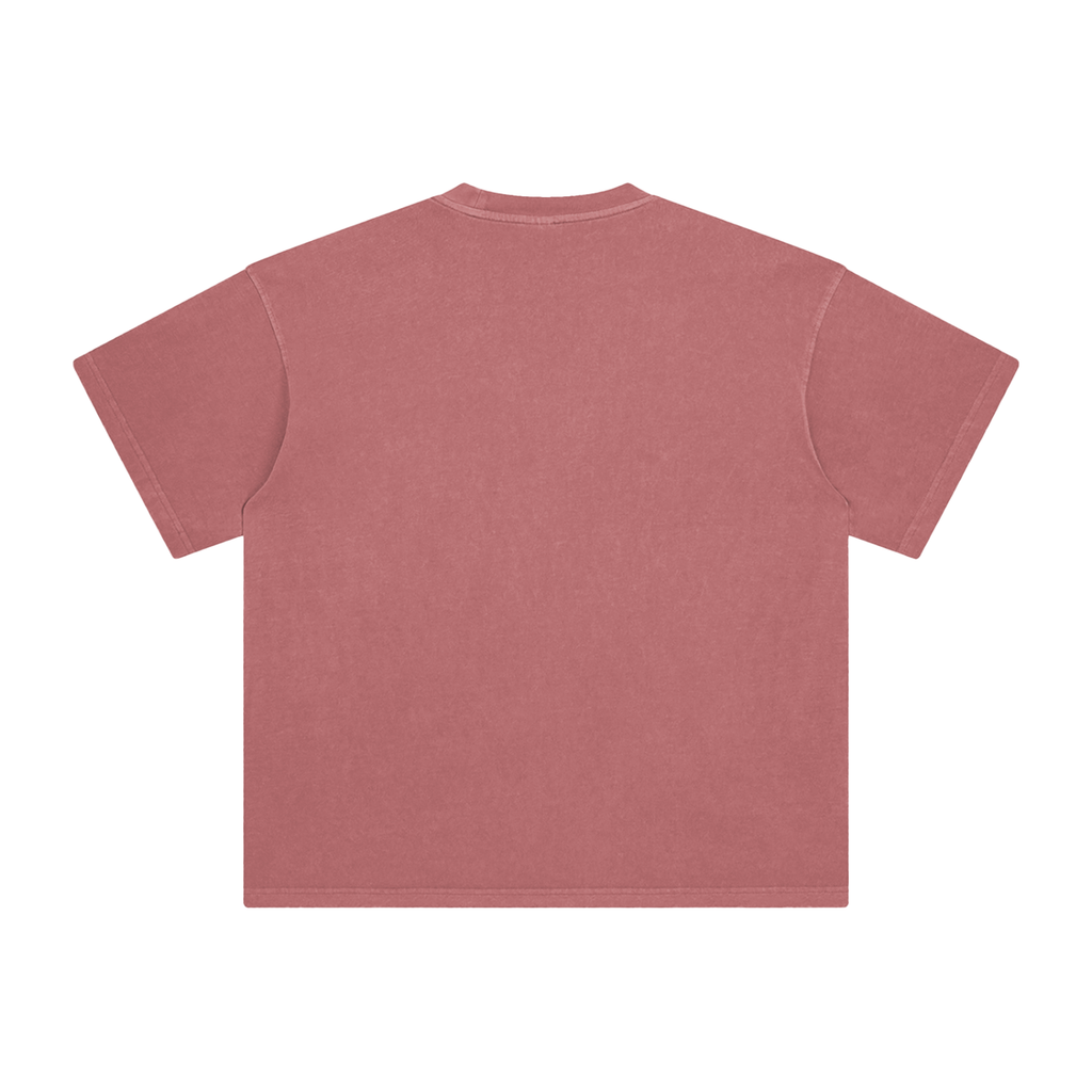 BDC Logo Enzyme Washed T-Shirt
