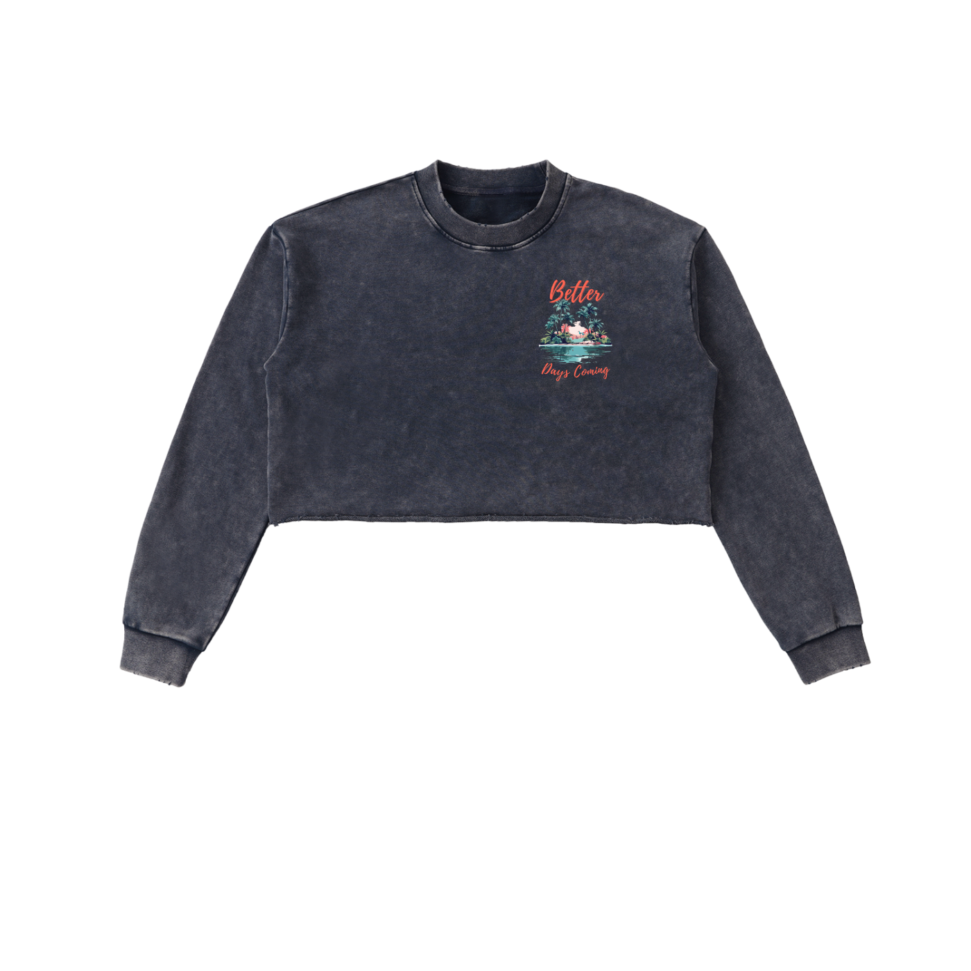 Women's Snow Washed Cropped Sweatshirt