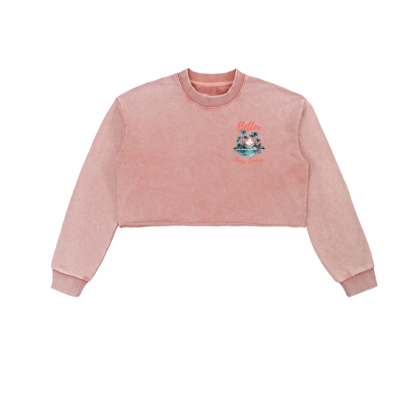Women's Snow Washed Cropped Sweatshirt
