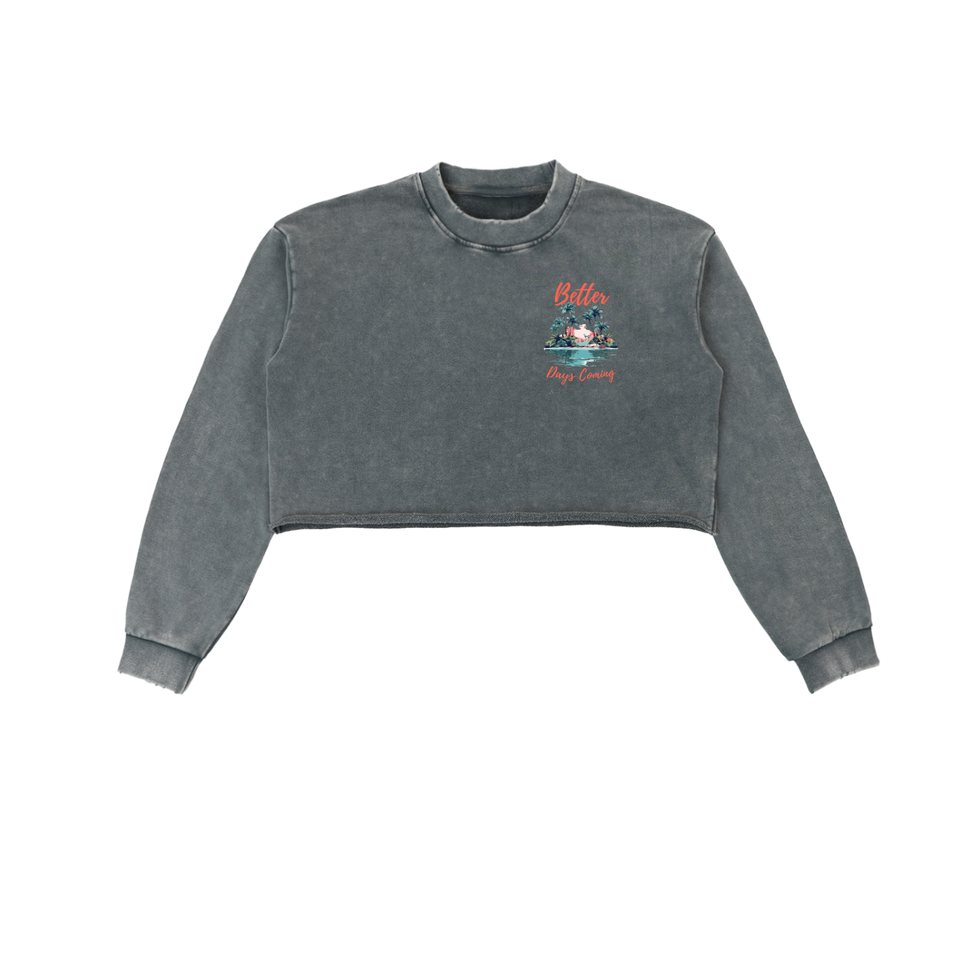 Women's Snow Washed Cropped Sweatshirt